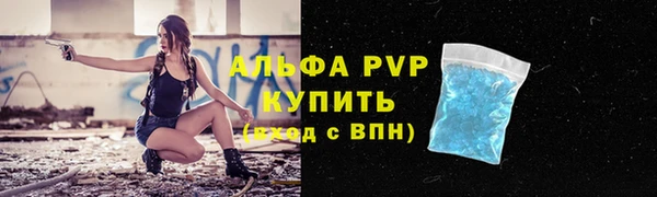 индика Абаза