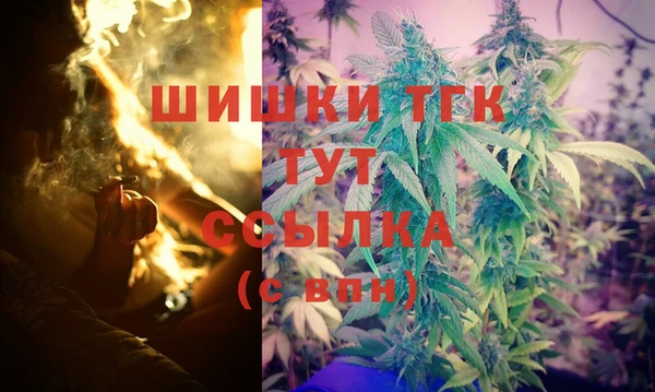 индика Абаза