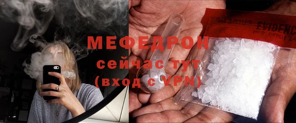 индика Абаза