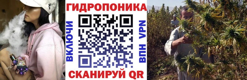 Бошки Шишки конопля  omg ONION  Трубчевск 
